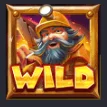 wild symbol gold seeker